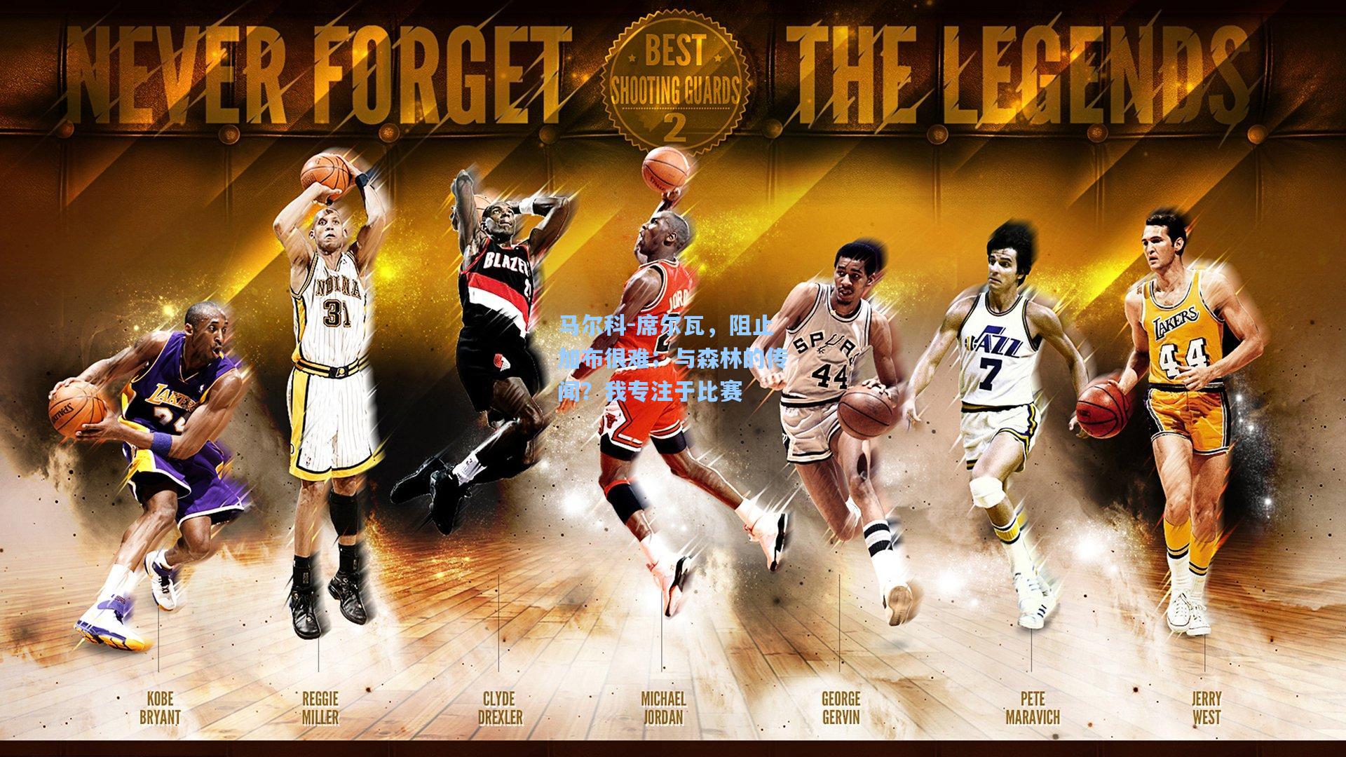 马尔科-席尔瓦,阻止加布很难;与森林的传闻?我专注于比赛